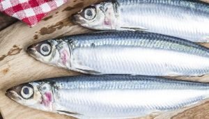 alimentos ricos em cálcio sardinha