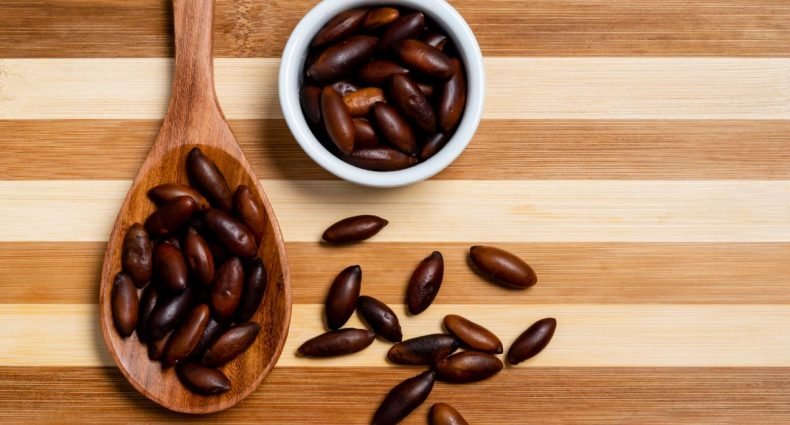 castanha de baru capa