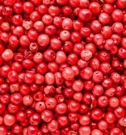 pimenta-rosa capa
