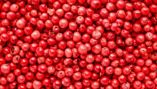 Pimenta-rosa verdadeira: você conhece ela?