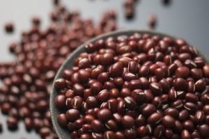 Feijão-vermelho cru em close, grãos inteiros e brilhantes em tigela cheia, ilustrando tipos de feijão mais consumidos no Brasi