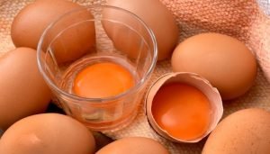 alimentos ricos em ferro gema de ovo