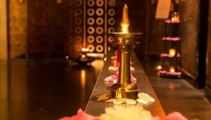 ayurveda vida