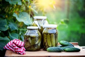 picles de pepino capa