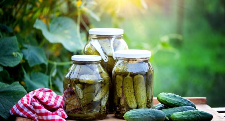 picles de pepino capa