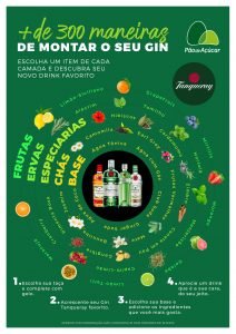 infográfico combinações gin
