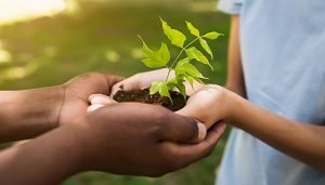 plantas mãos