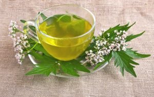 Chá de valeriana servido em uma xícara com folhas e flores ao redor