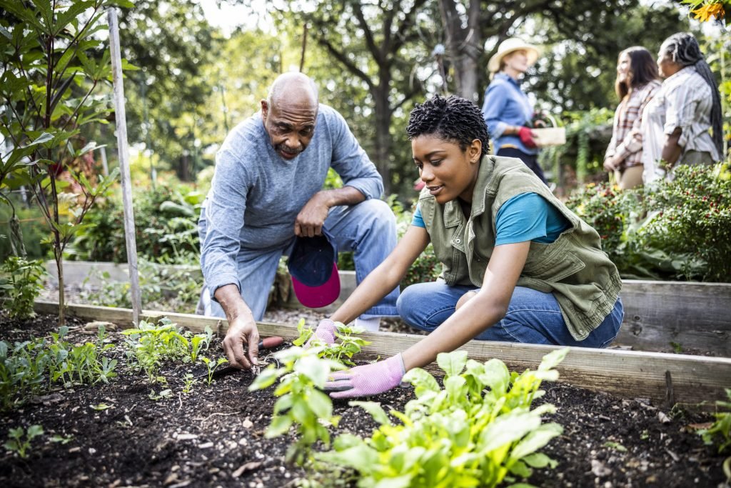  Duas pessoas cultivando uma horta