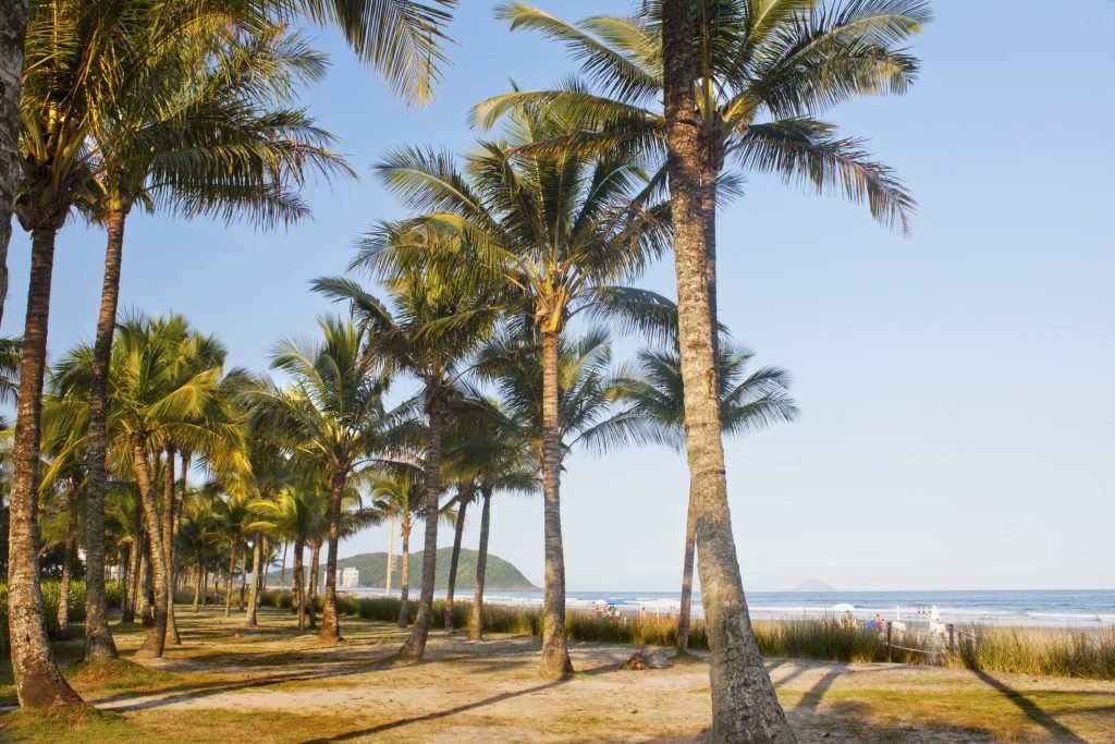 Palheiro de palmeiras na Riviera de São Lourenço