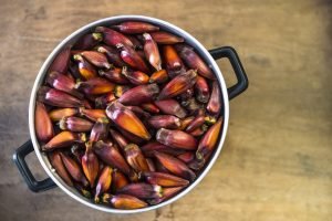 Pinhão cozinhando em panela.