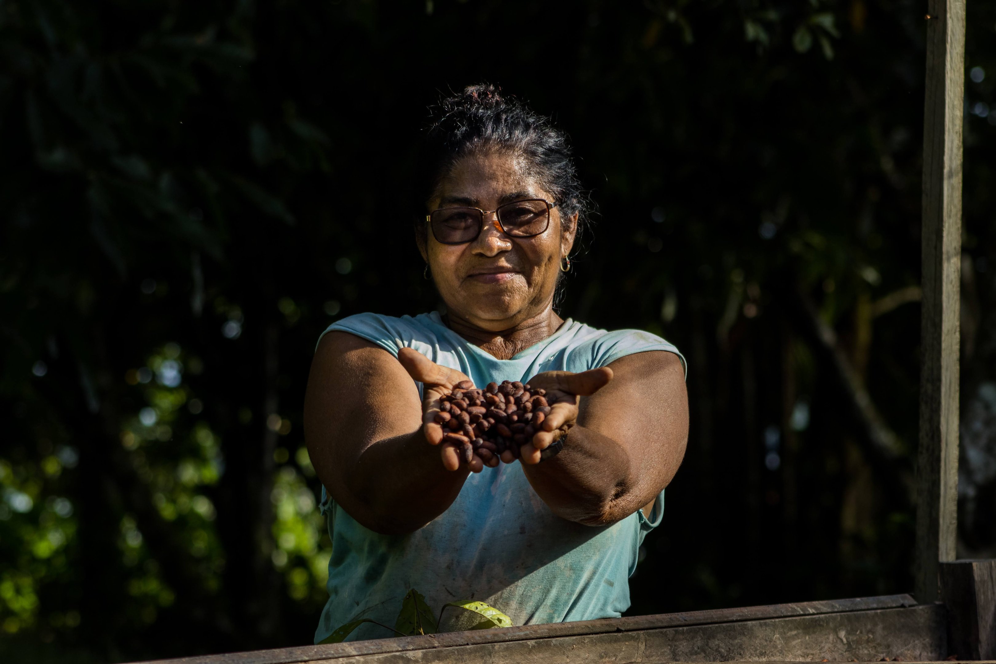 Mulher segurando grãos de cacau na natureza.