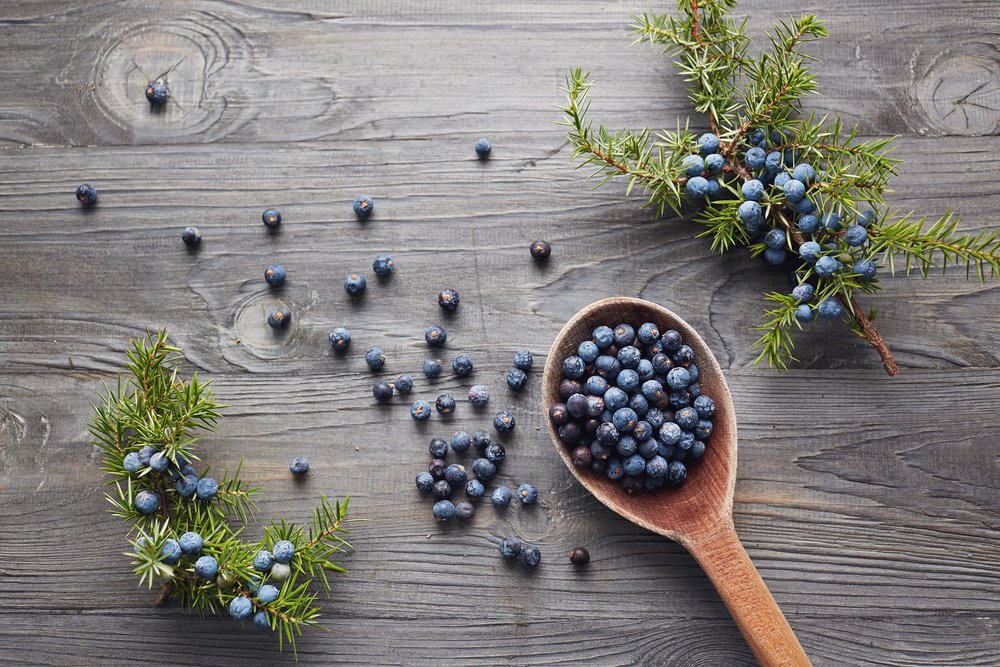 Chá de zimbro em caneca de vidro com bagas e ramos, sobre mesa de madeira.