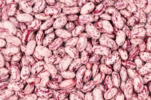 Feijão-rosinha cru (cranberry beans) em close, grãos claros rajados de rosa, tipo de feijão entre os mais consumidos