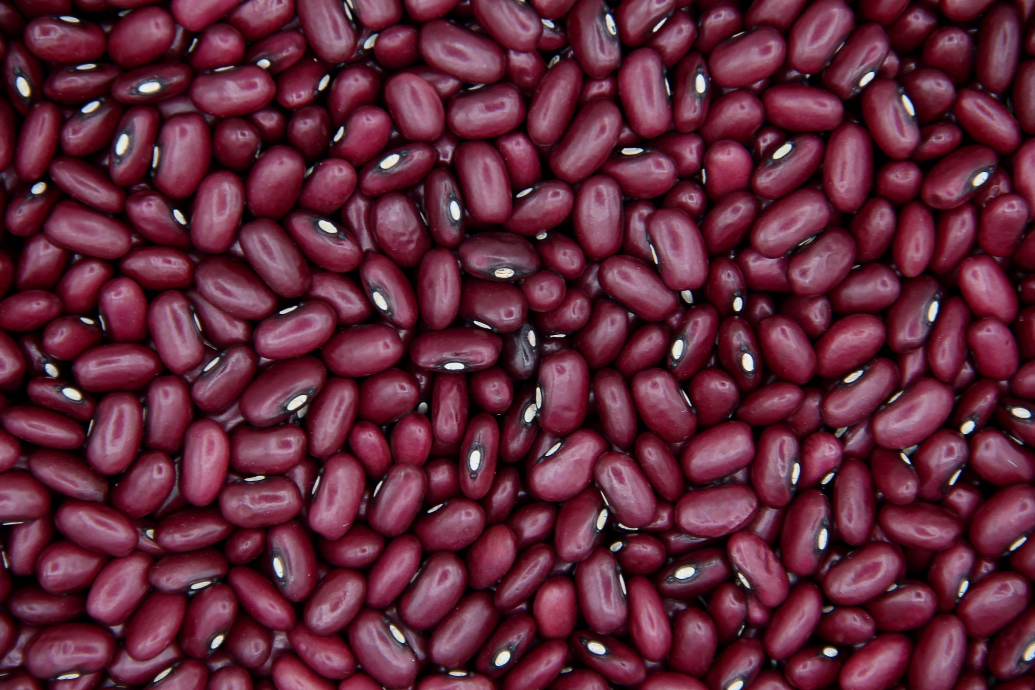Feijão-roxinho em close, grãos roxos secos preenchendo a imagem – tipo de feijão entre os mais consumidos no Brasil
