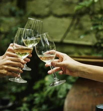 Mãos segurando taças de vinho pela haste durante um brinde, mostrando como segurar a taça de vinho corretamente para melhorar a experiência de degustação.